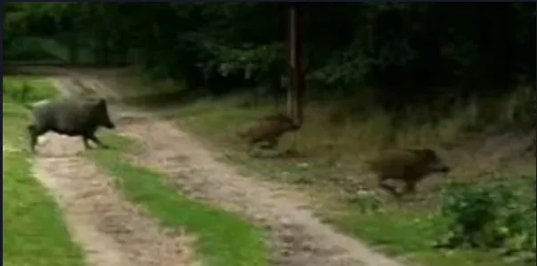Einladung Schießen in der neuen Schießanlage Kehlheim